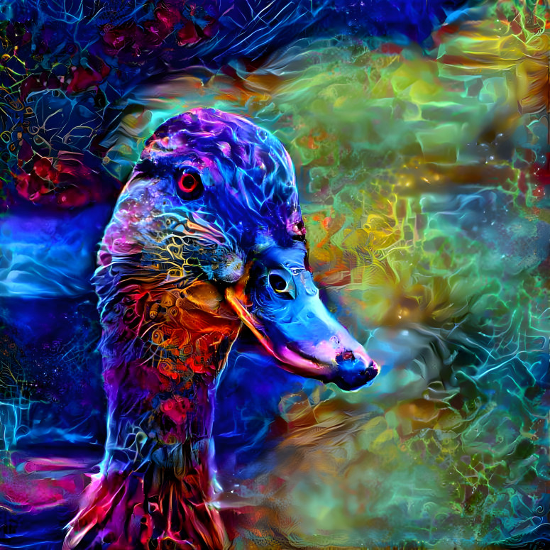 Tripping with a duck