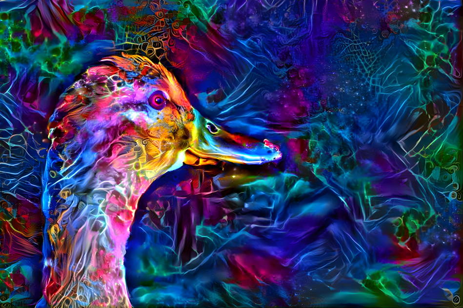 Trippy duck 2