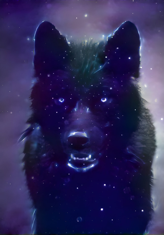 Galaxy wolf