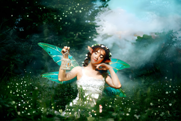 Fairy Dreams