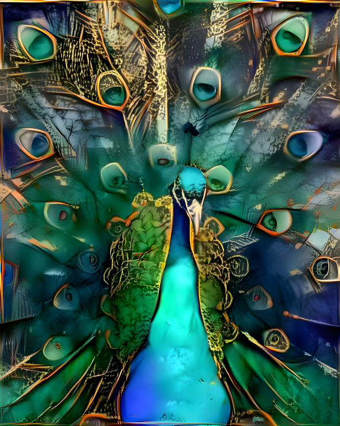 Peacock