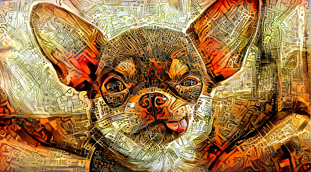 Chihuahua