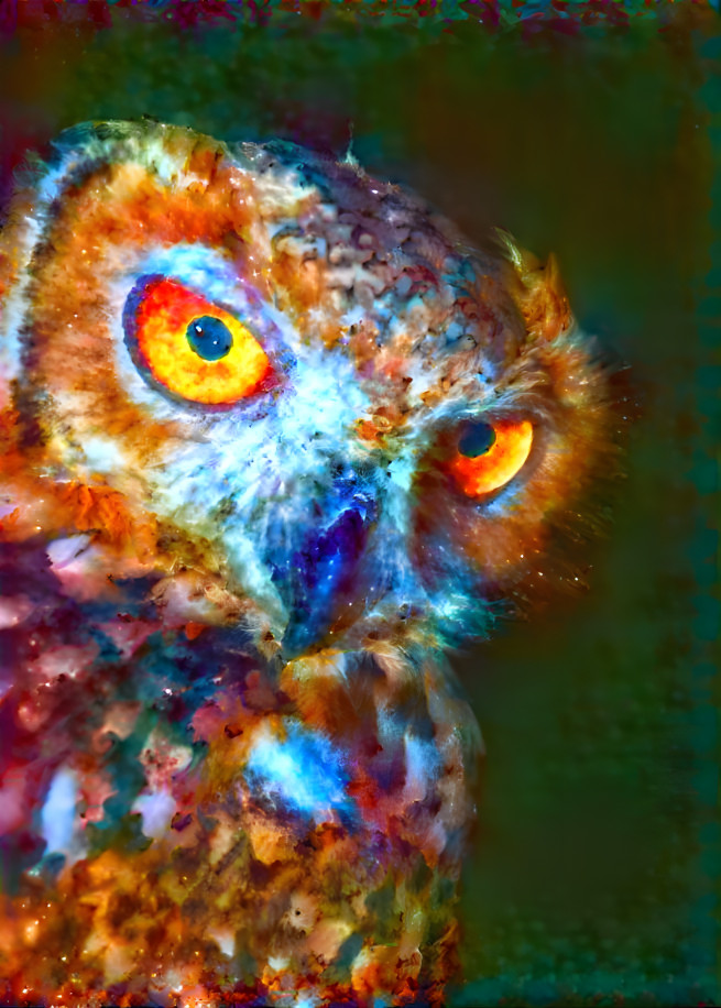 Intense Owl