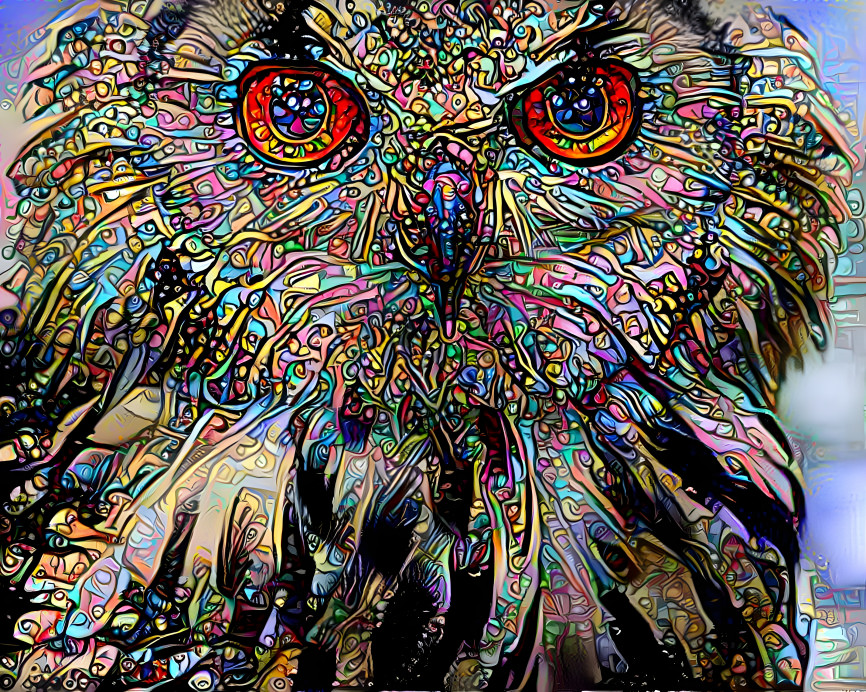 Mandala Owl