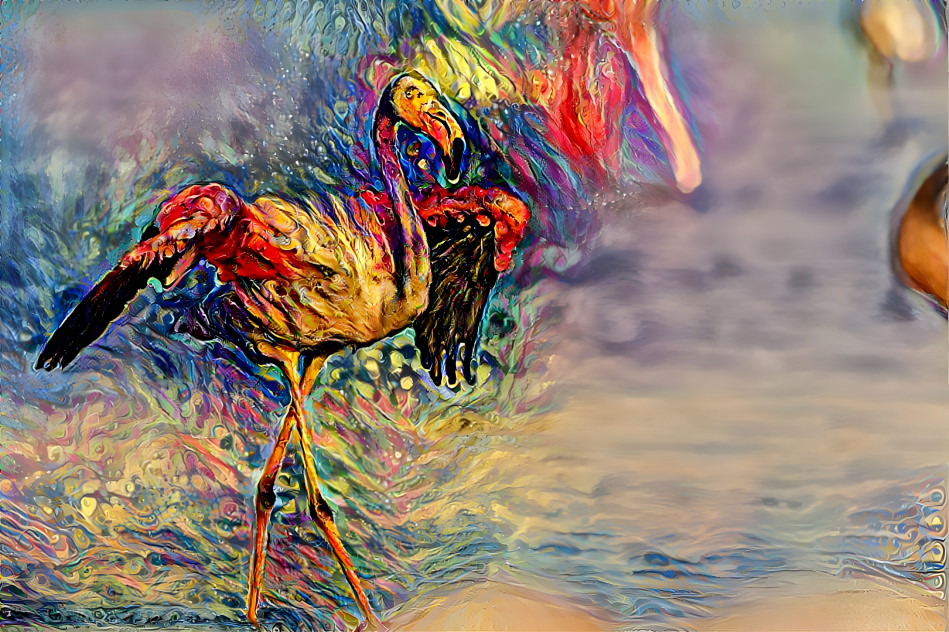 Flamingo