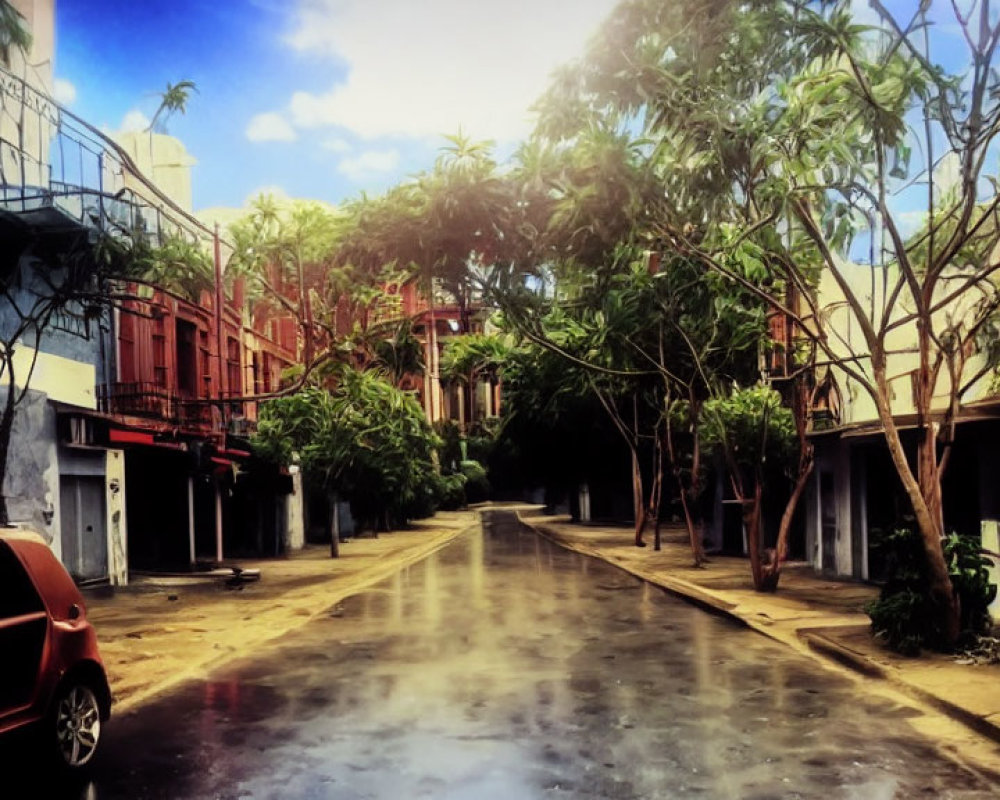 Sunlit Street with Lush Trees and Colorful Buildings