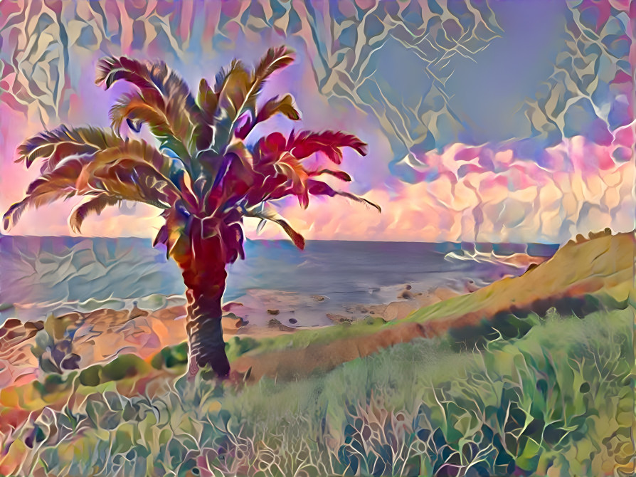 Palm on coast