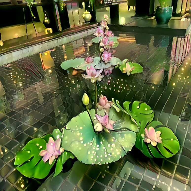 Waterlilies