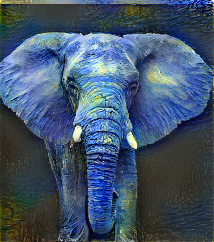 Elephant 