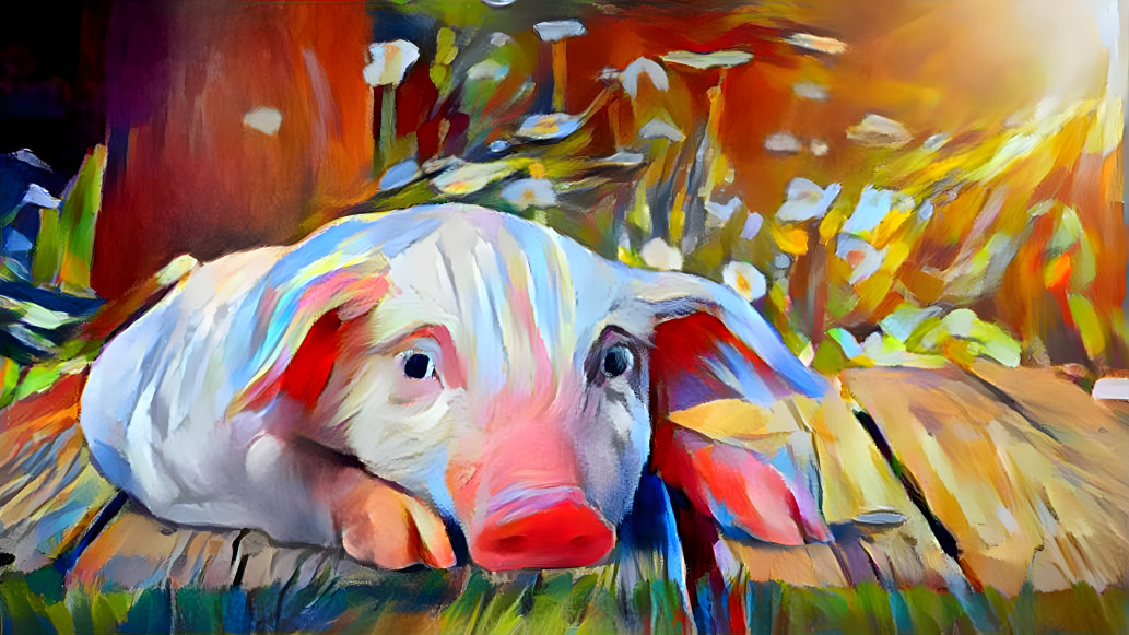 Colorful Pig