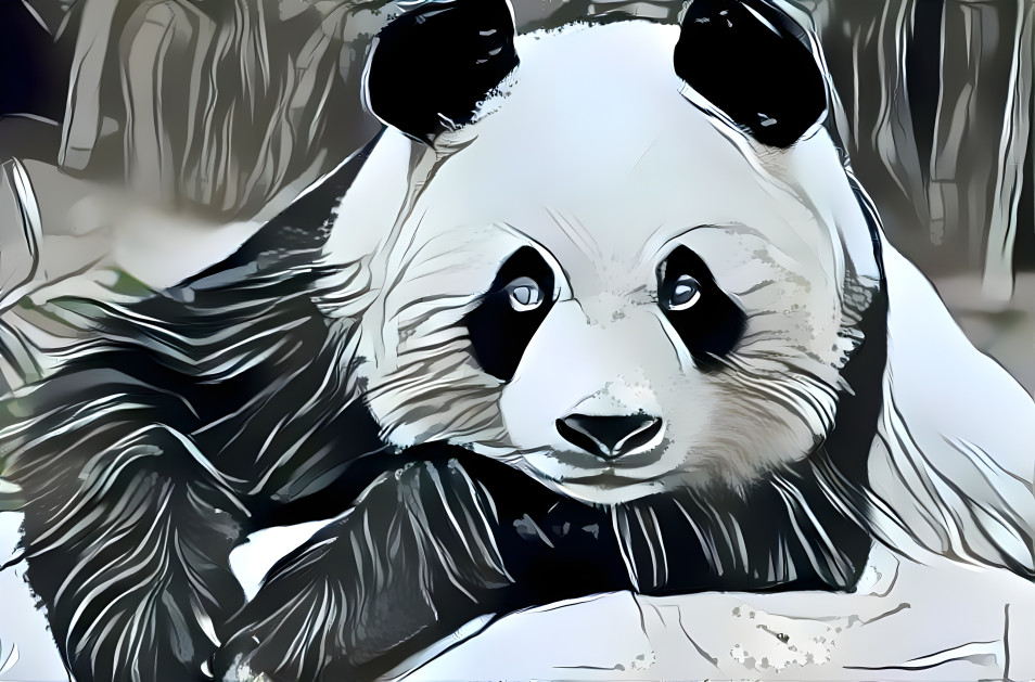 Panda