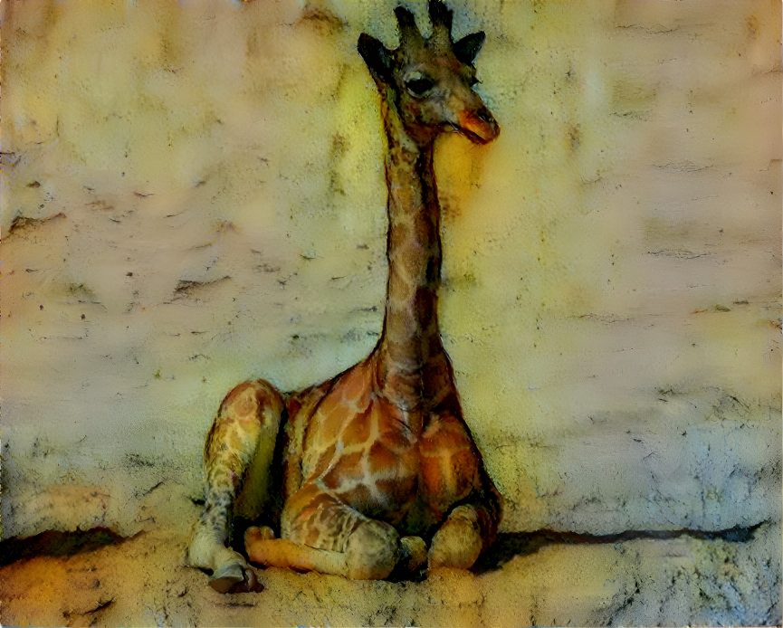 Baby Giraffe in a Desert