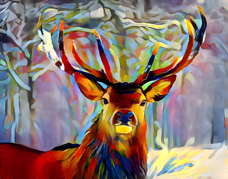 Colorful Buck