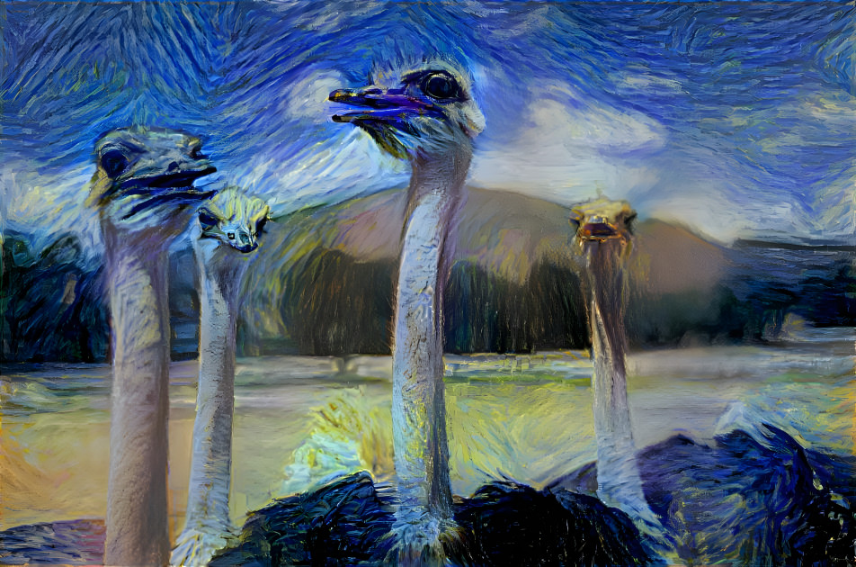 Starry Ostriches