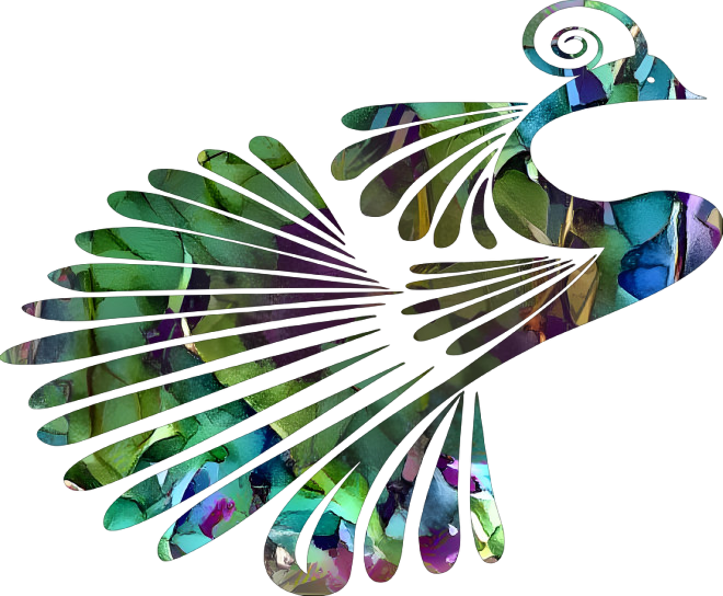 peacock