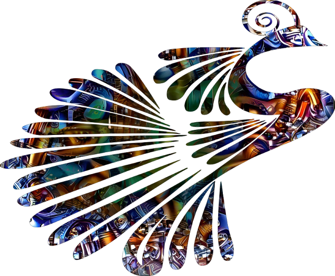 peacock