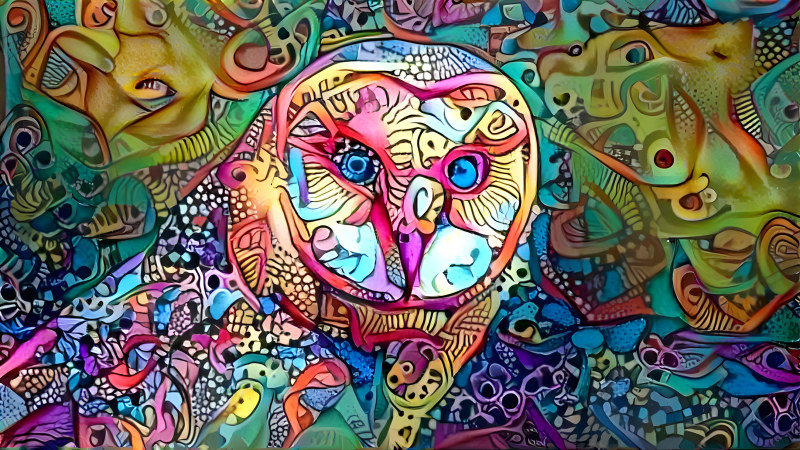 owl