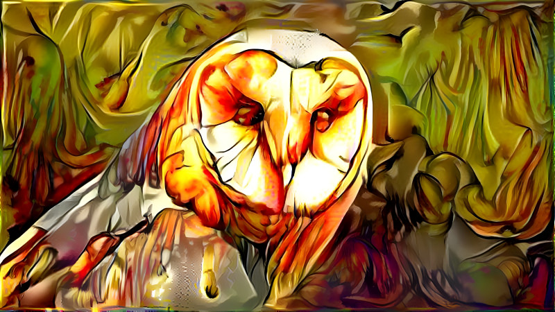 owl