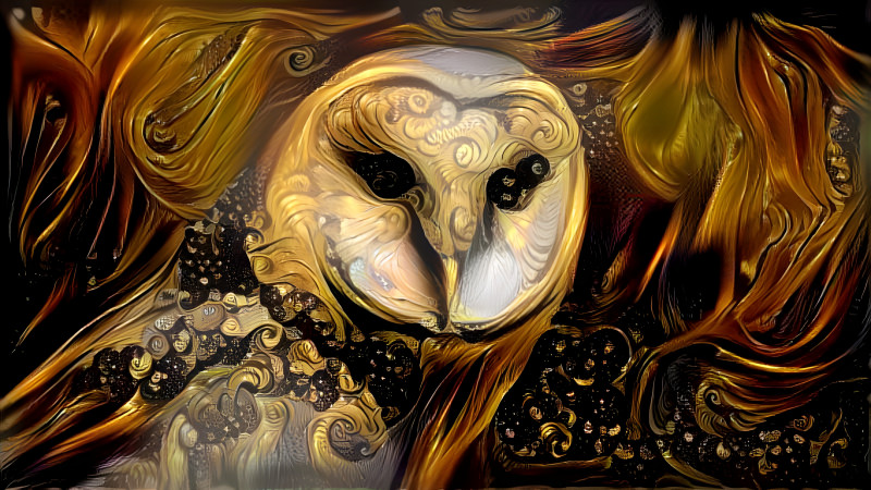 Owl