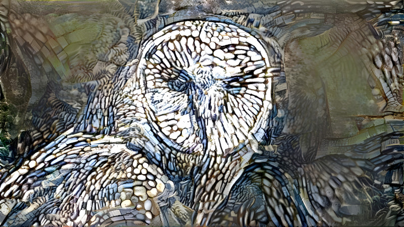 owl