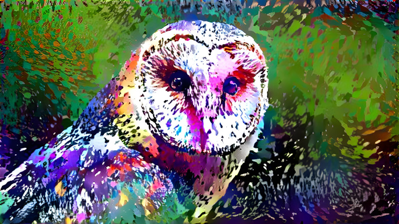 Owl