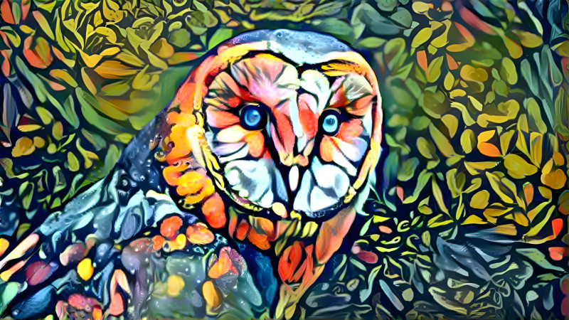 Owl