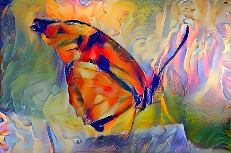 Butterfly