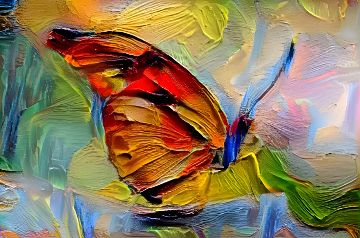 Butterfly