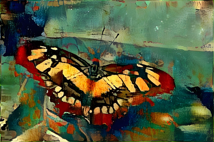 Butterfly