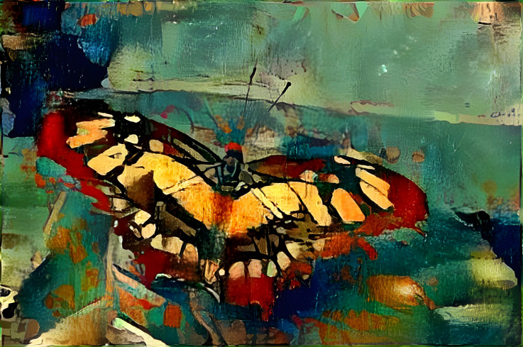 Butterfly