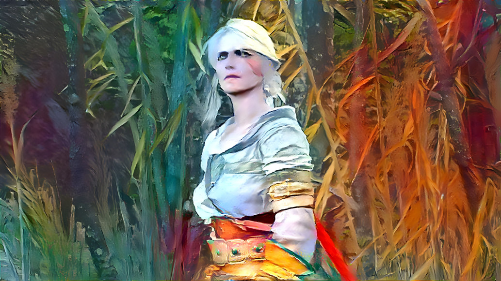 Ciri #6