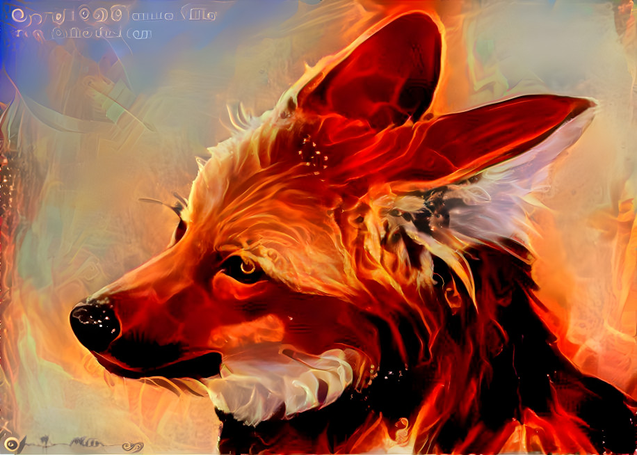 Fire Fox