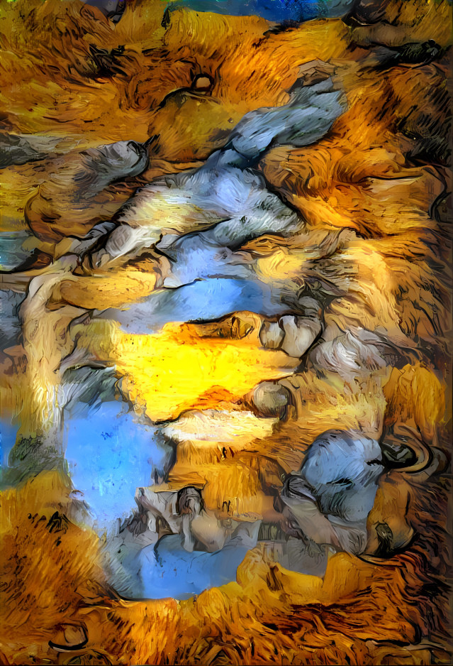 lion