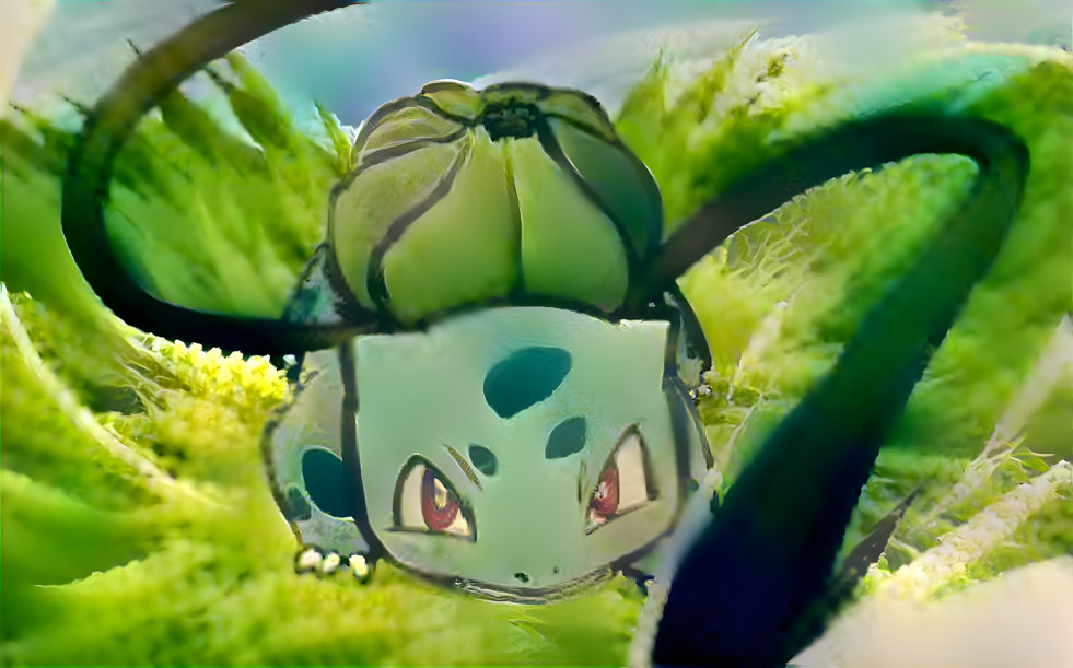 Bulbasaur X Seed