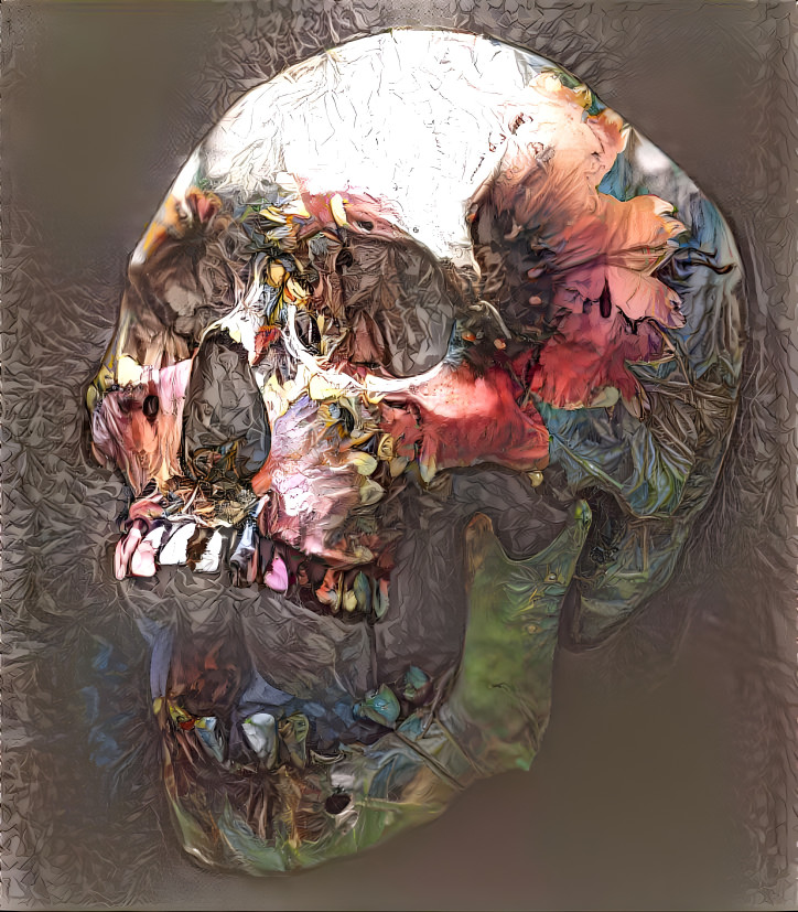 Skull 1