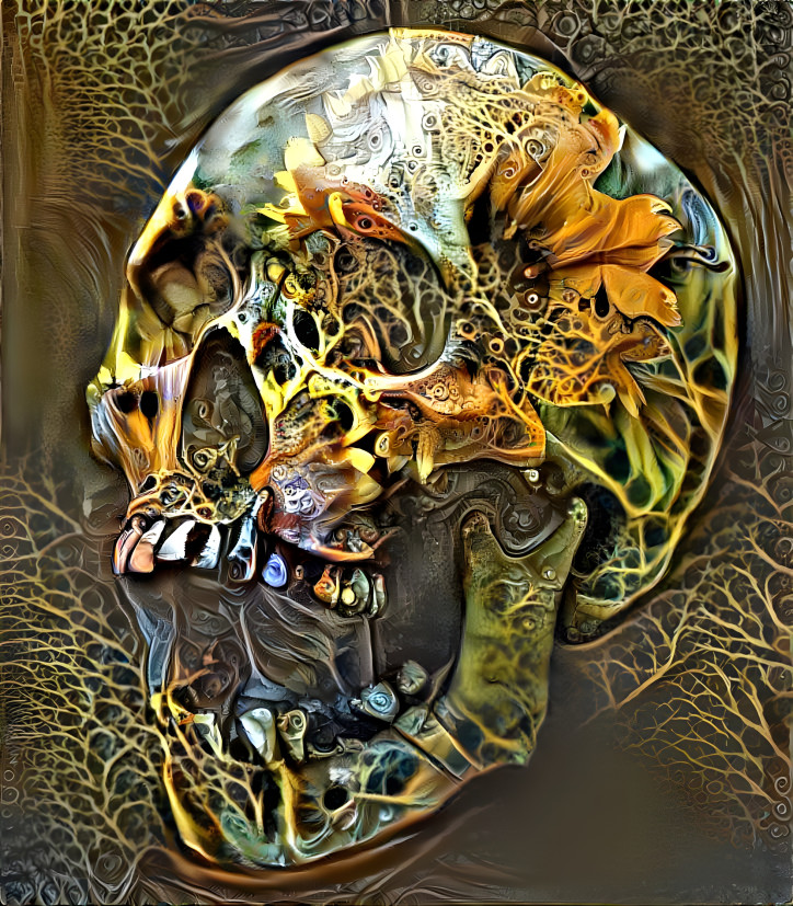 Skull 7