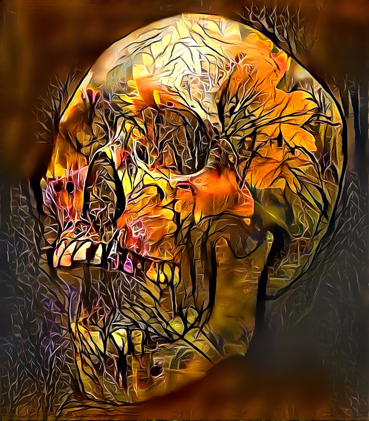 Skull 4