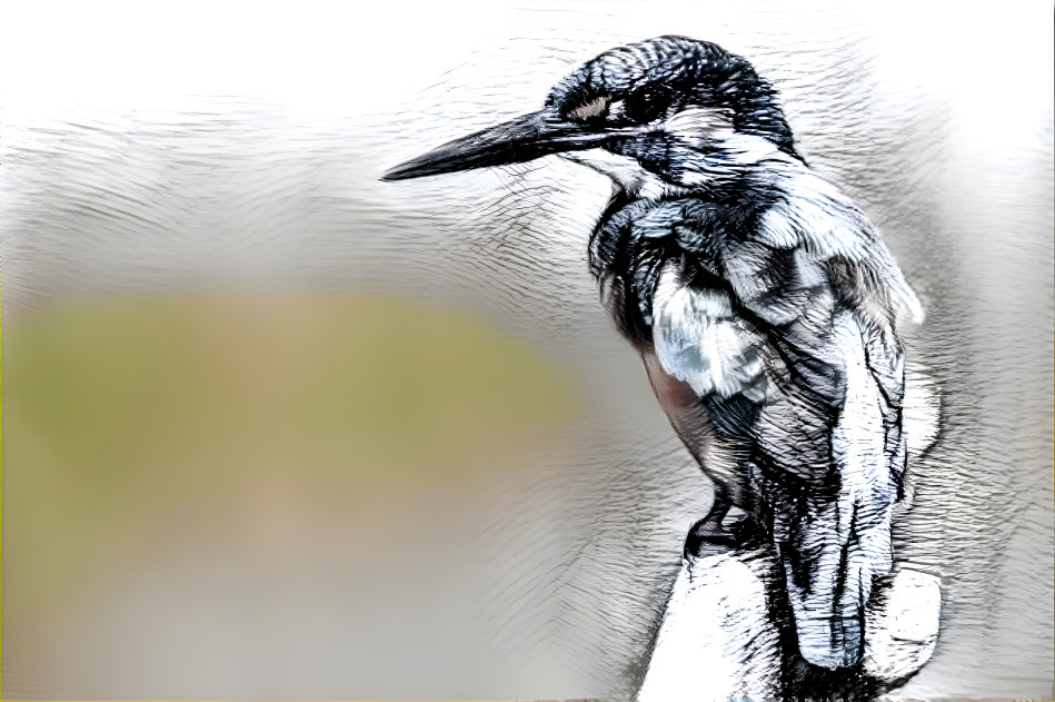 CrosshatchKingfisher