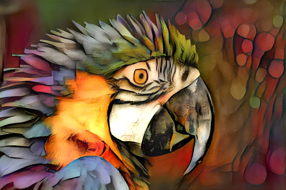 Parrot portrait