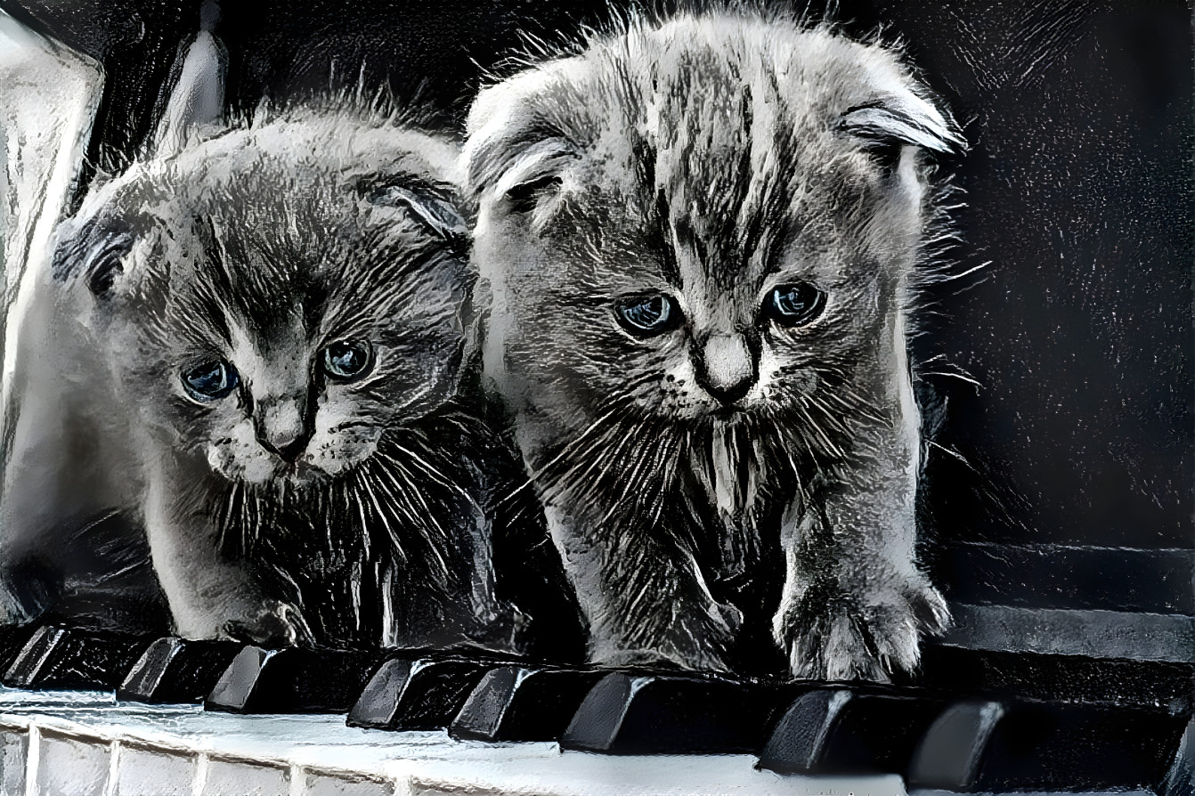 Kitten Duet