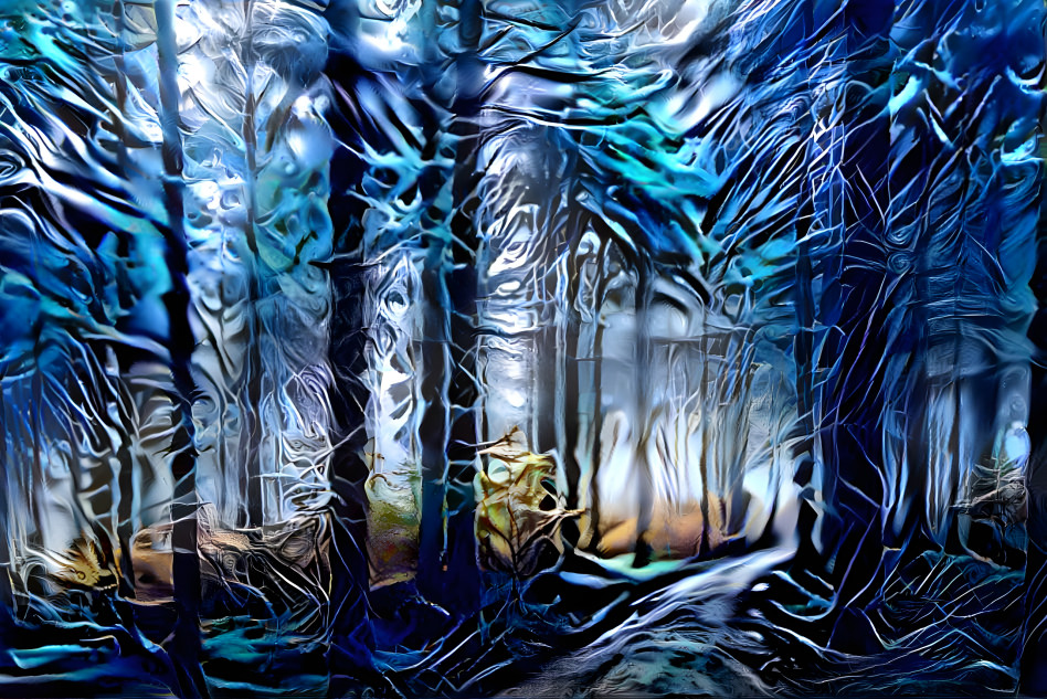 Mysterious Forest