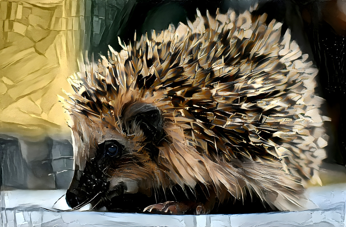 Hedgehog