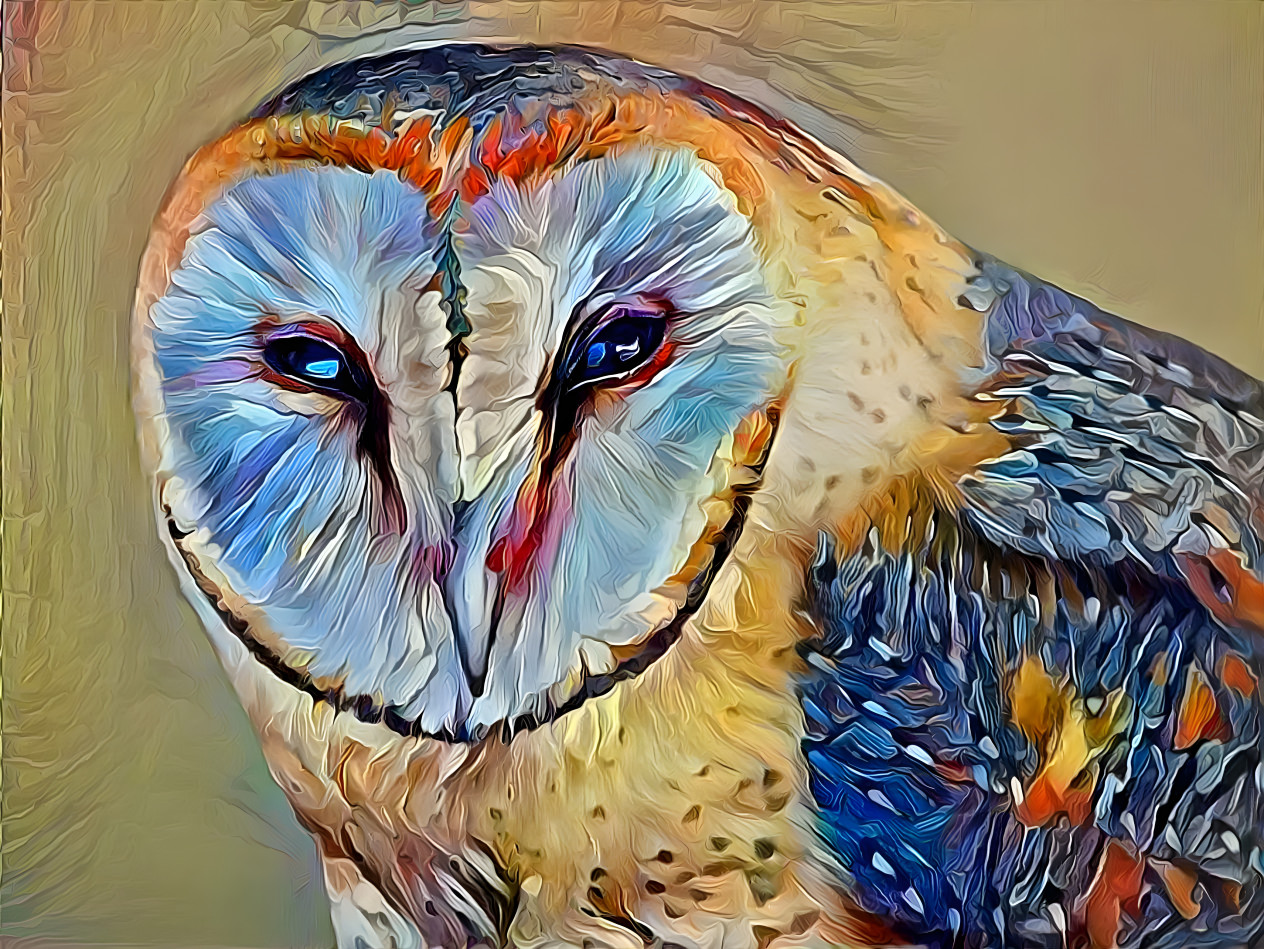 Owl portrait