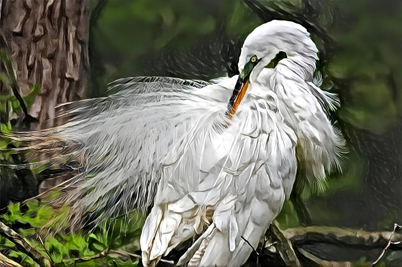 Great Egret