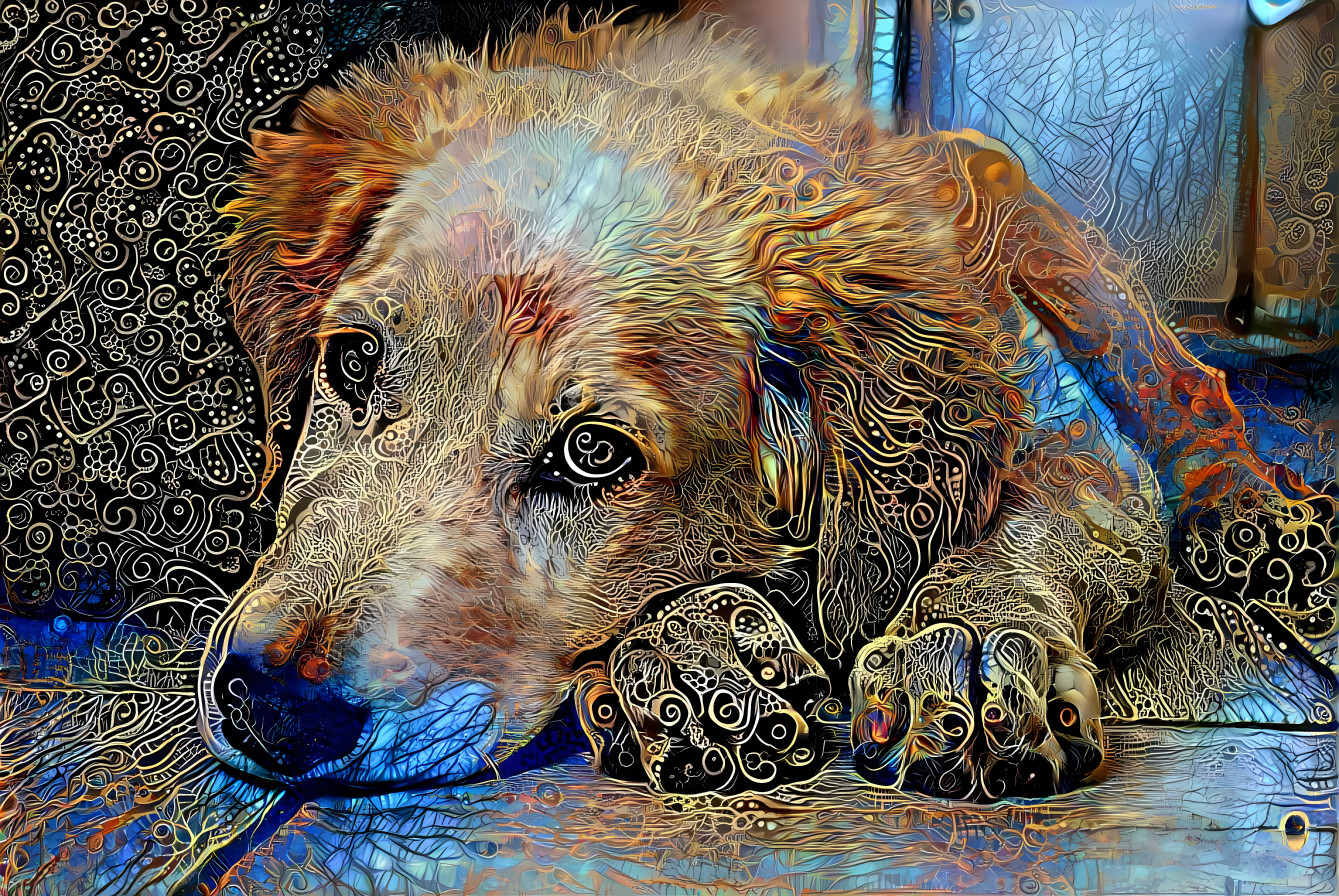 Golden Retriever 2