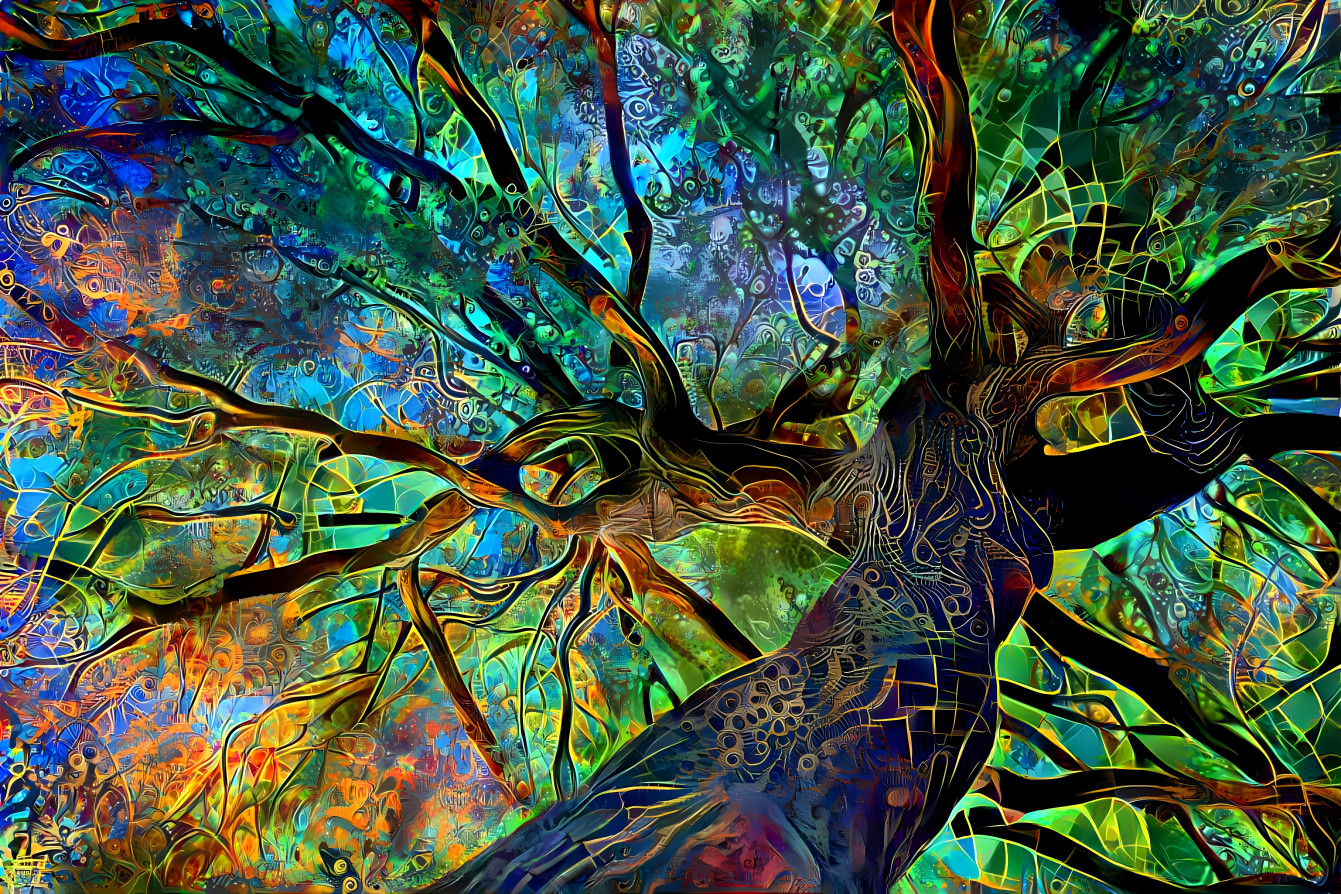 Dream Tree 7