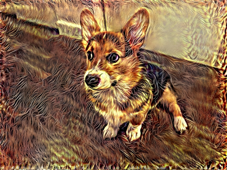 Dream Corgi 55