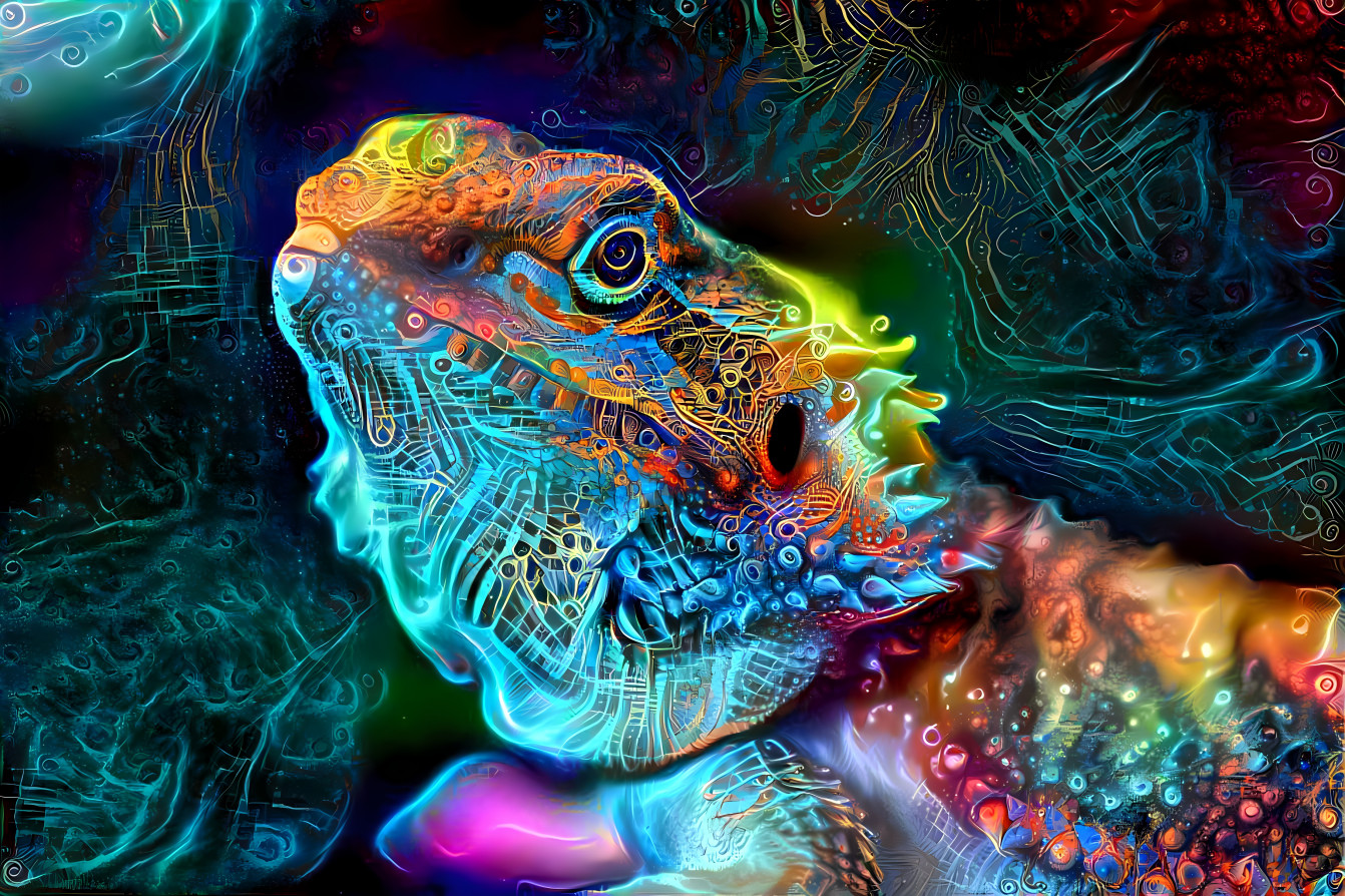 Dream Lizard 4