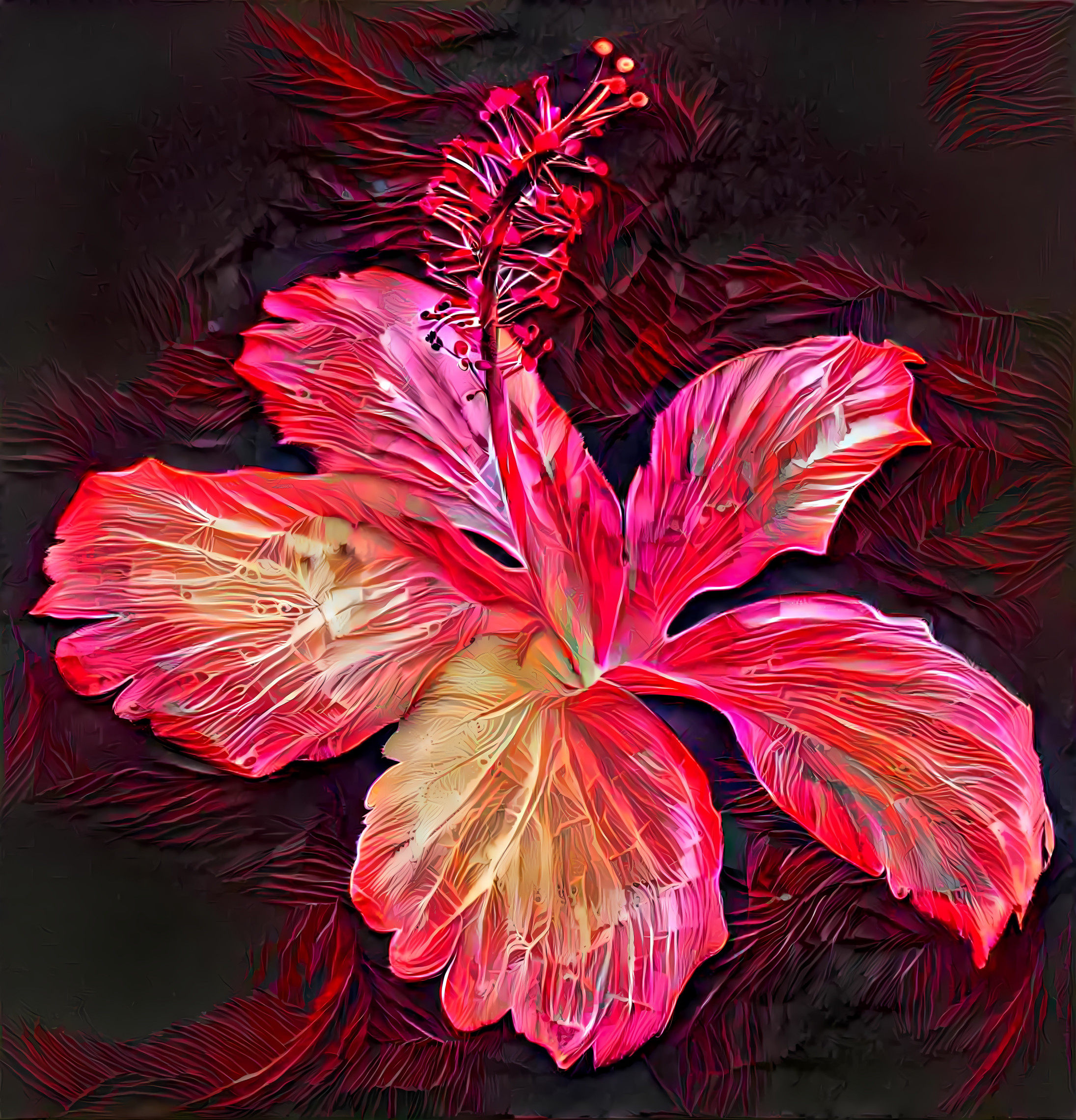 Dream Hibiscus 2