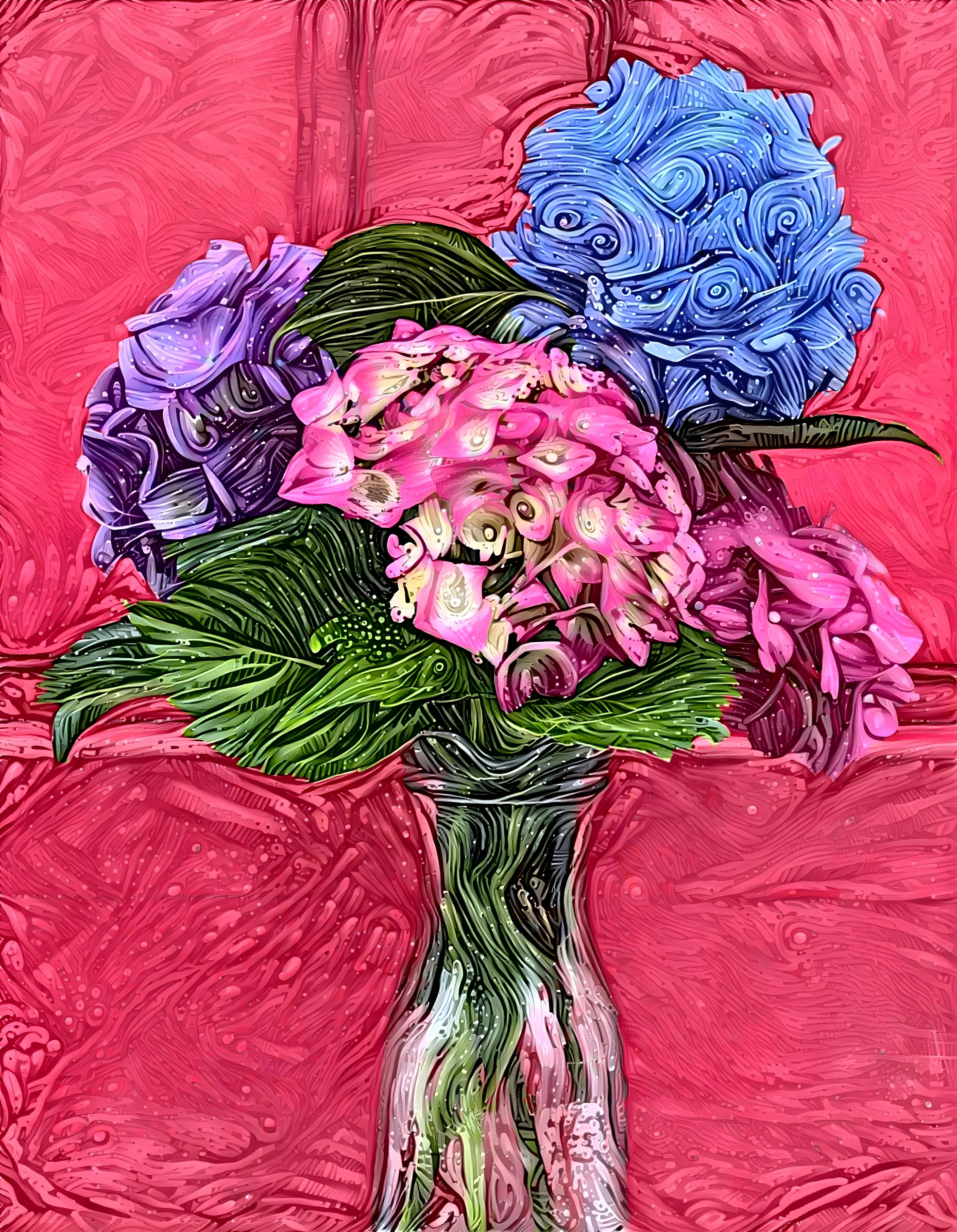 Dream Hydrangeas